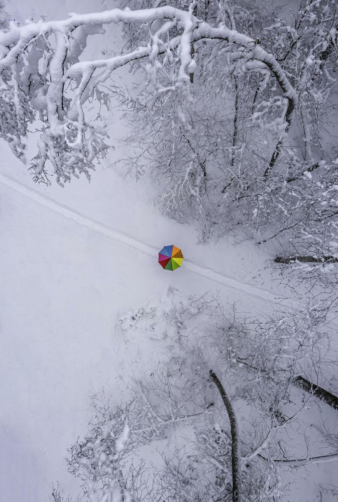 Фотография автора Алексей Яковлев