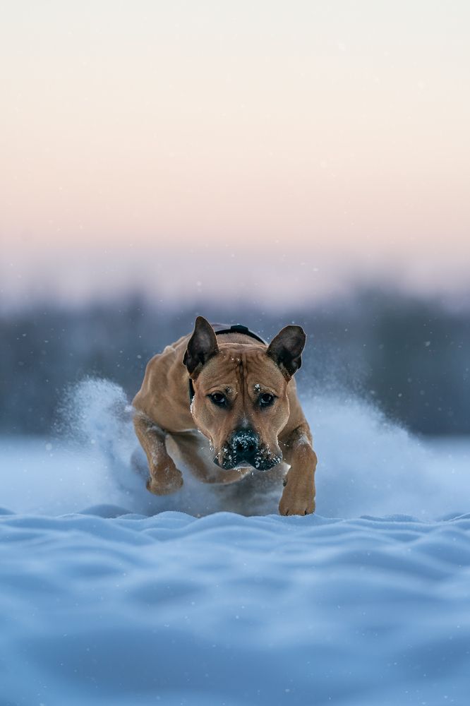 Фотография автора Nikola Skořepová