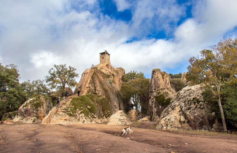 Фотография автора Ismail SAIDI