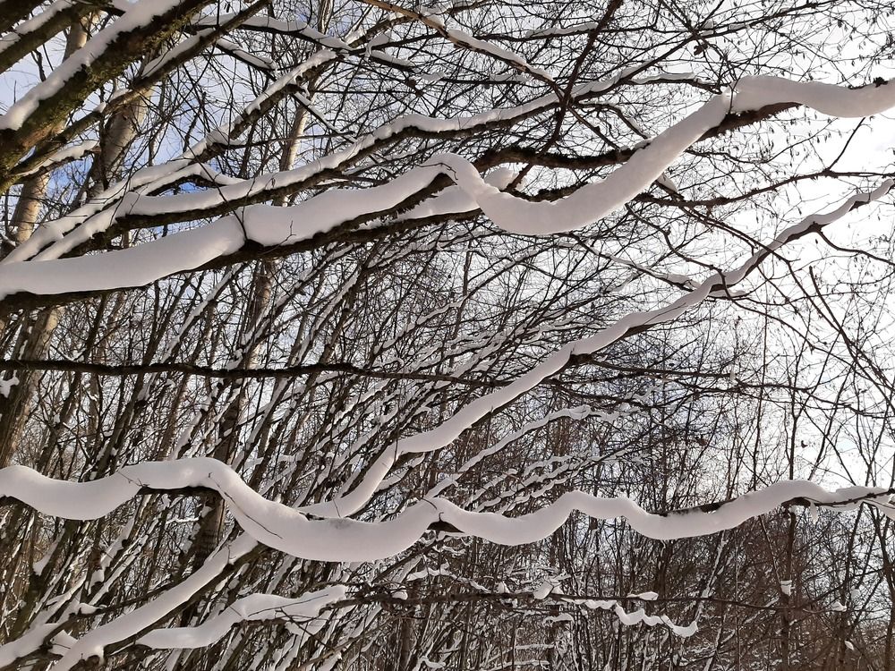 Photograph by Владимир Владимирович