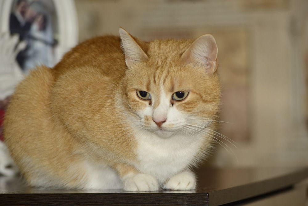 Photograph by Юрий Ступин