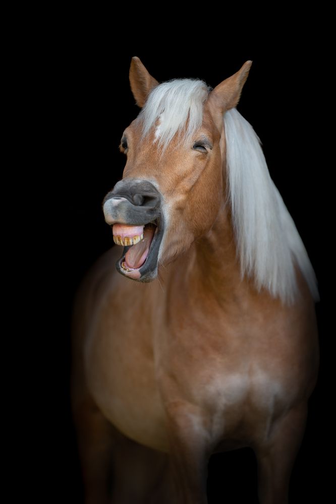 Фотография автора Nikola Skořepová