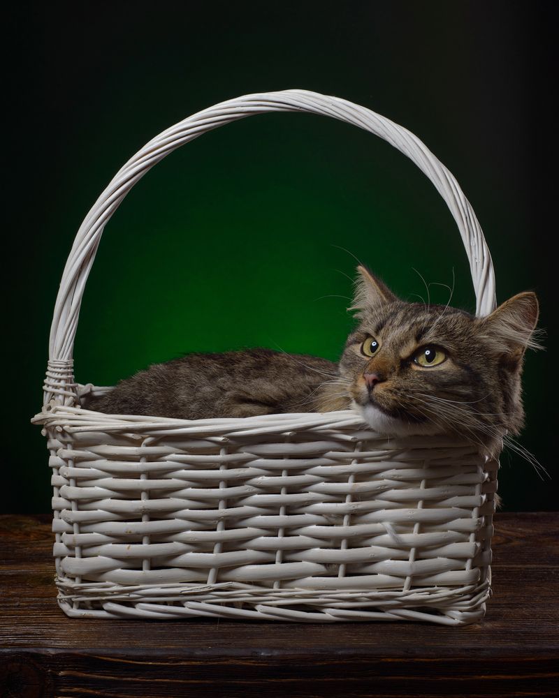 Фотография автора Сизов Кирилл