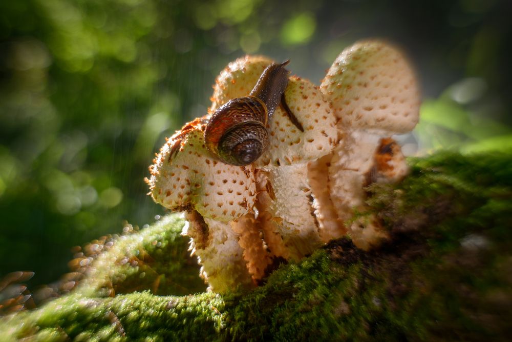 Фотография автора Сизов Кирилл