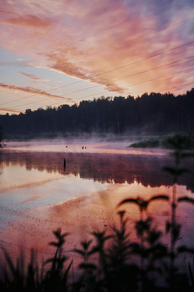 Фотография автора Александр Жданов