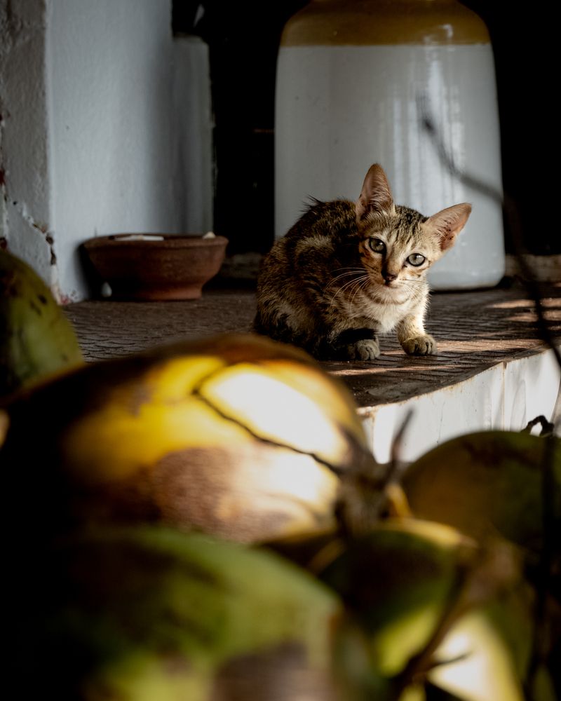 Photograph by Роман Кузнецов