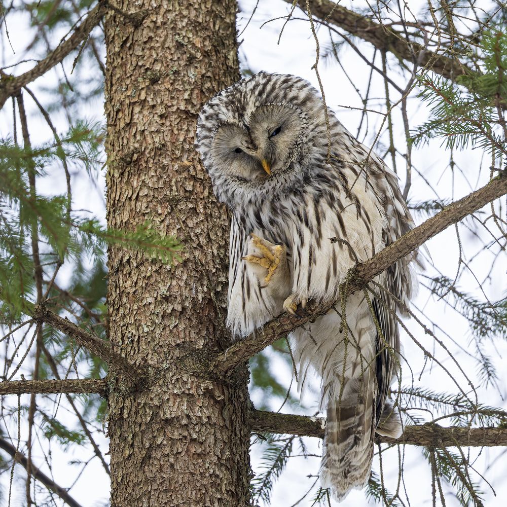 Photograph by Руслан Pl