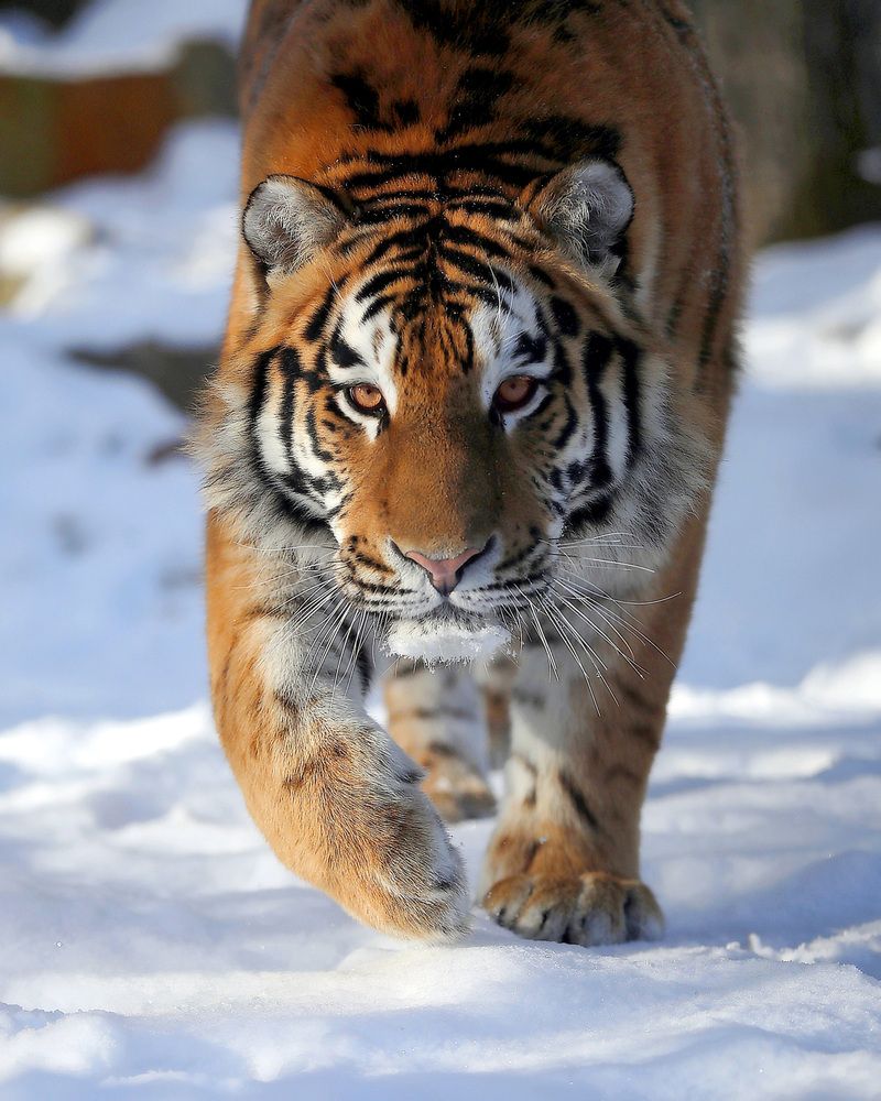 Photograph by Андрей Автухов