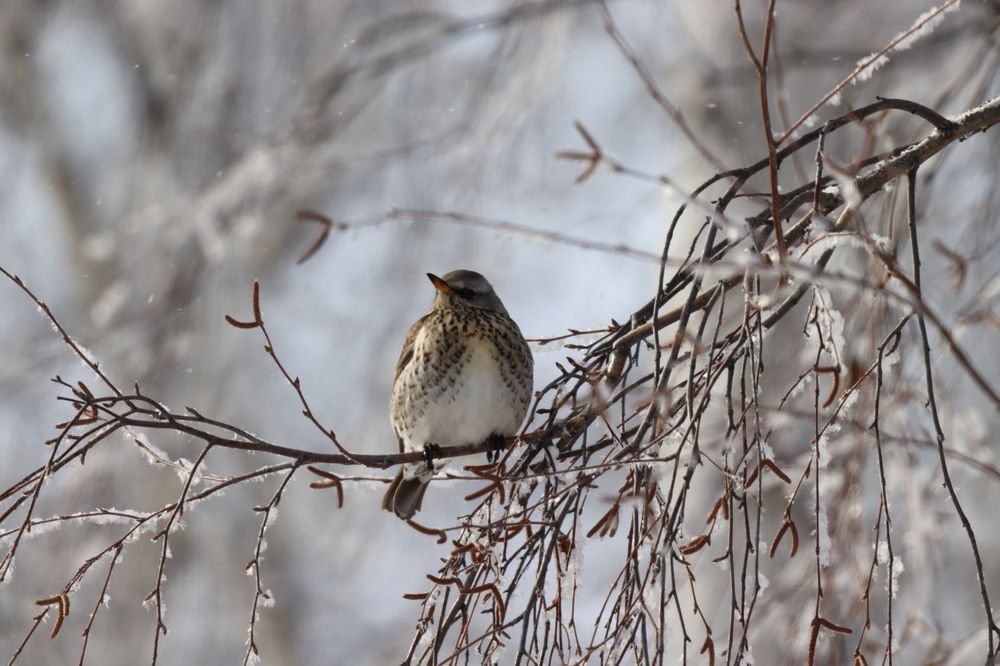 Photograph by Natalia Ulyanova