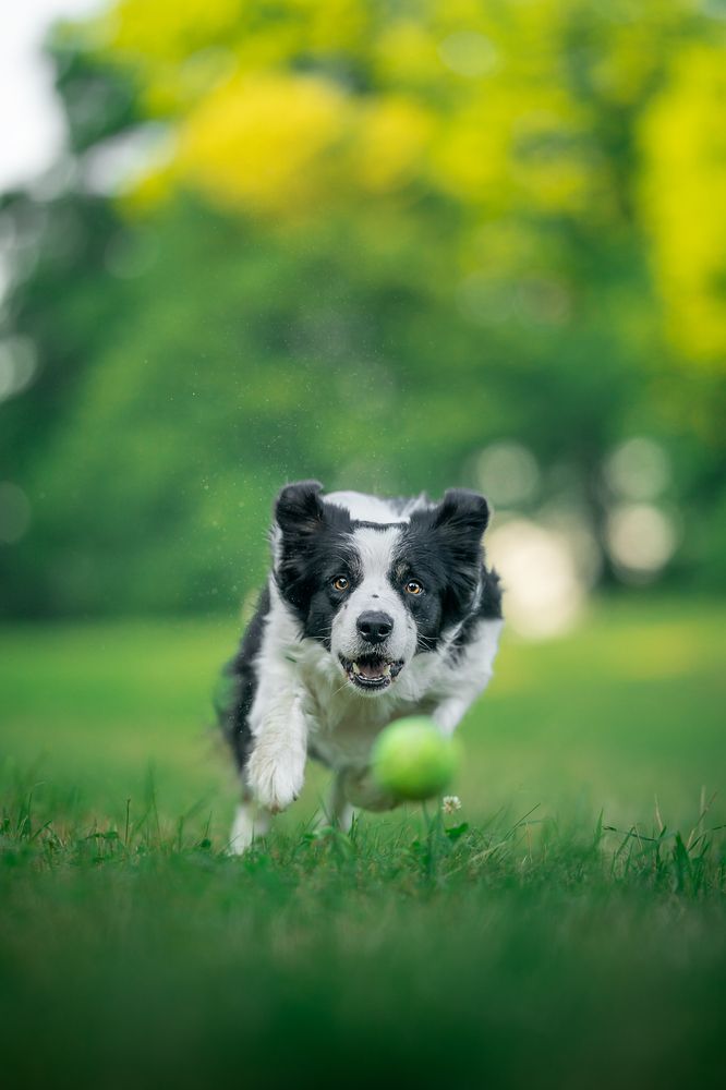 Фотография автора Nikola Skořepová
