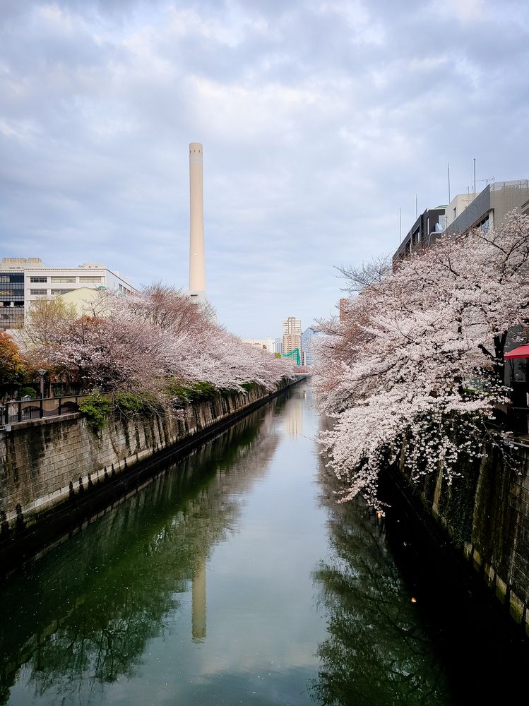 Photograph by Татьяна Герасимцева