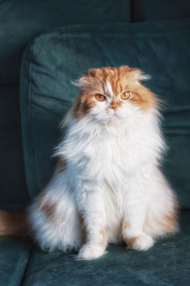 Photograph by Ольга Веретенникова