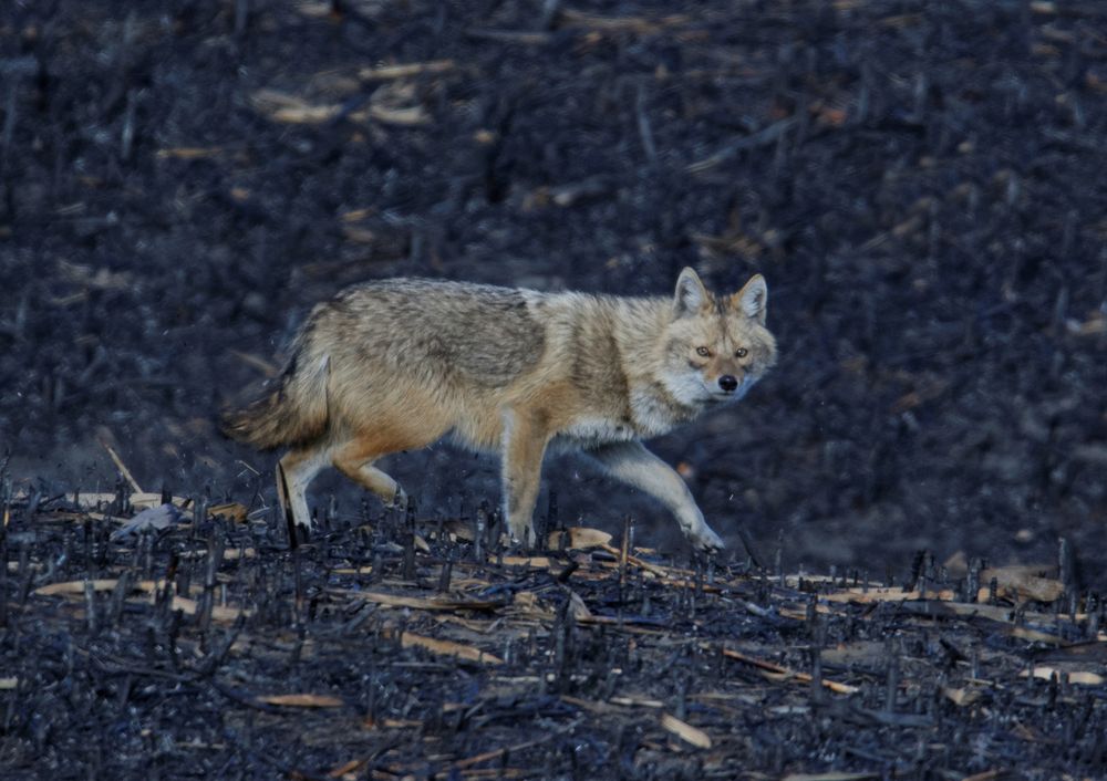 Photograph by Антон Громов