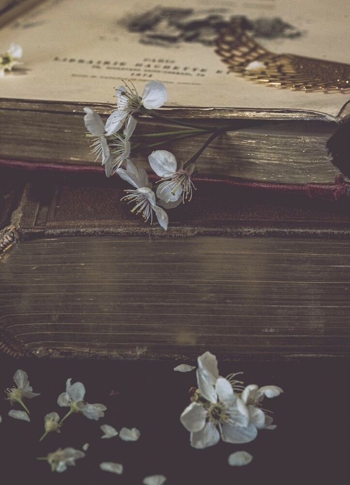 Photograph by Ксения Шилина