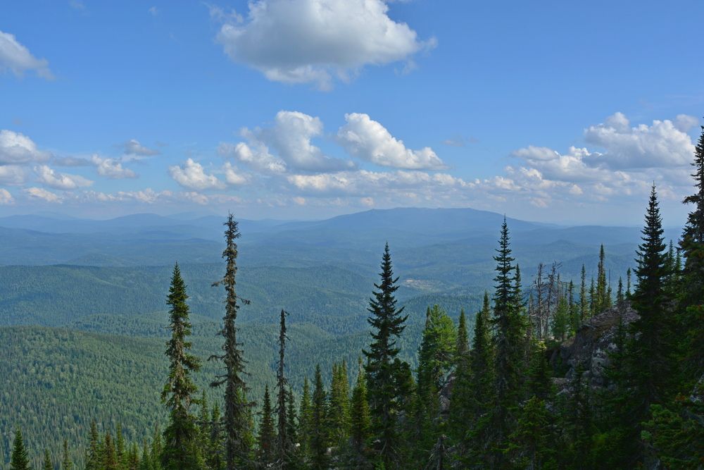 Photograph by Ирина Киевская