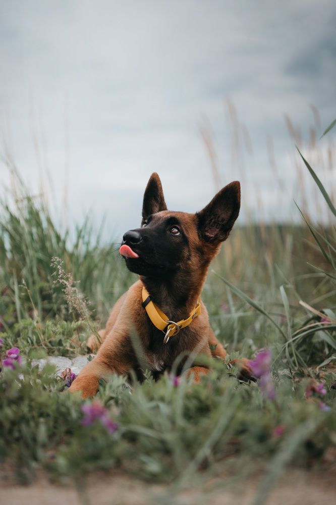 Photograph by Маргарита Богуславская