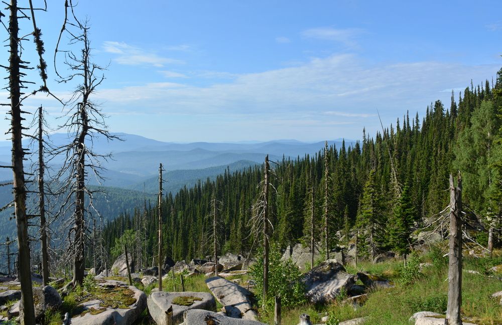 Photograph by Ирина Киевская