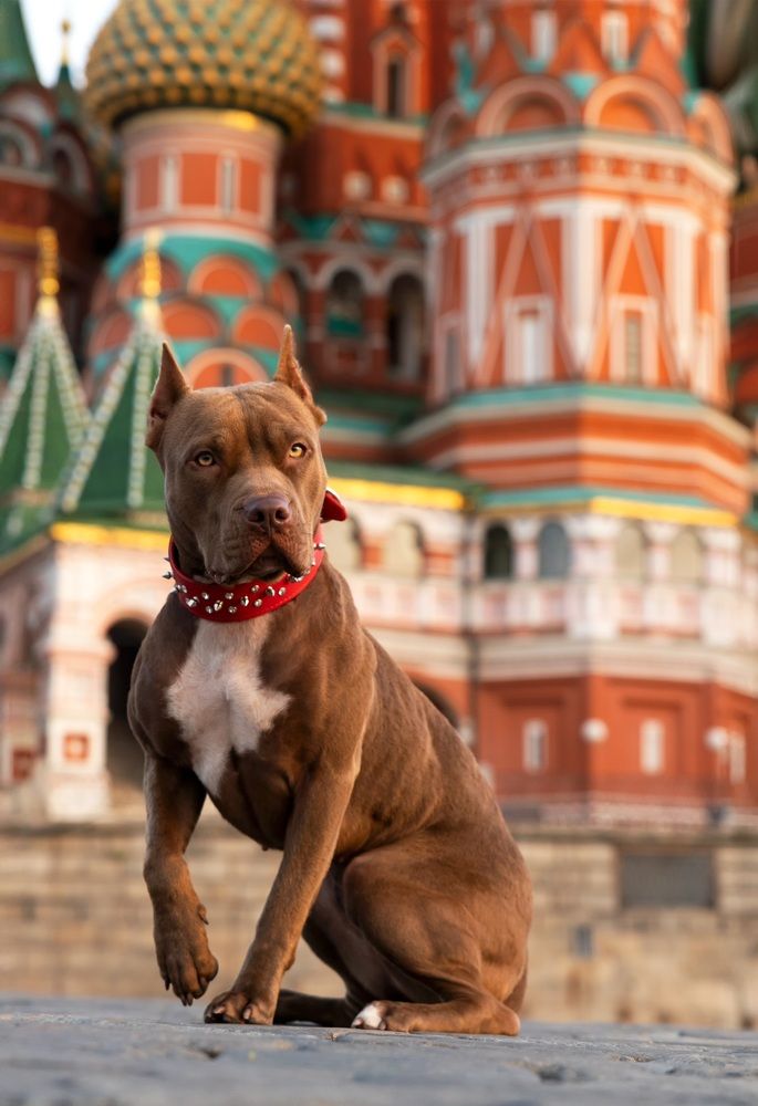 Photograph by Наталья Носова (Кучеренко)