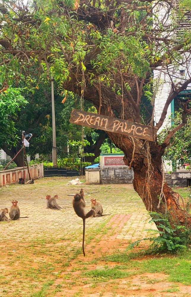 Photograph by VVR SUBRAMANIAN