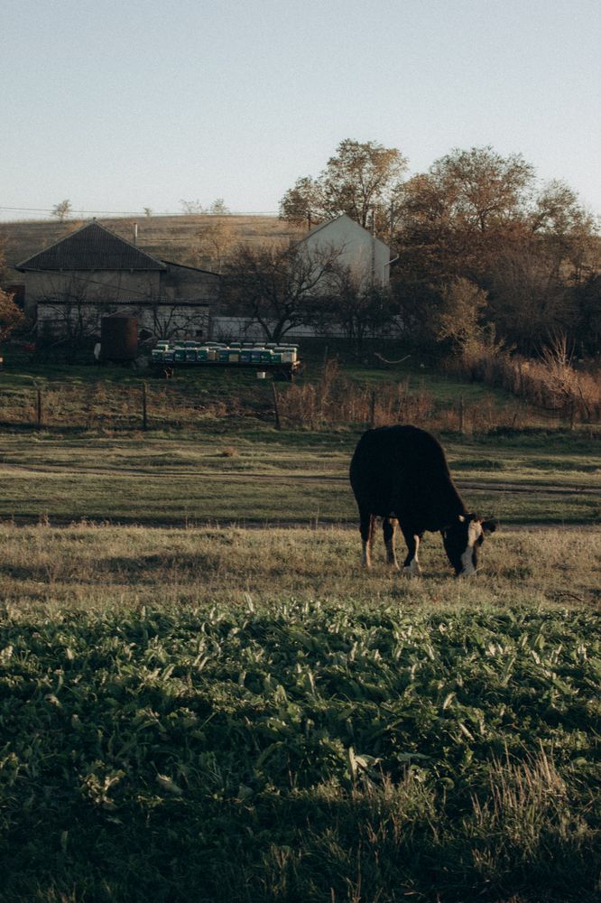 Photograph by Валентина Сабий