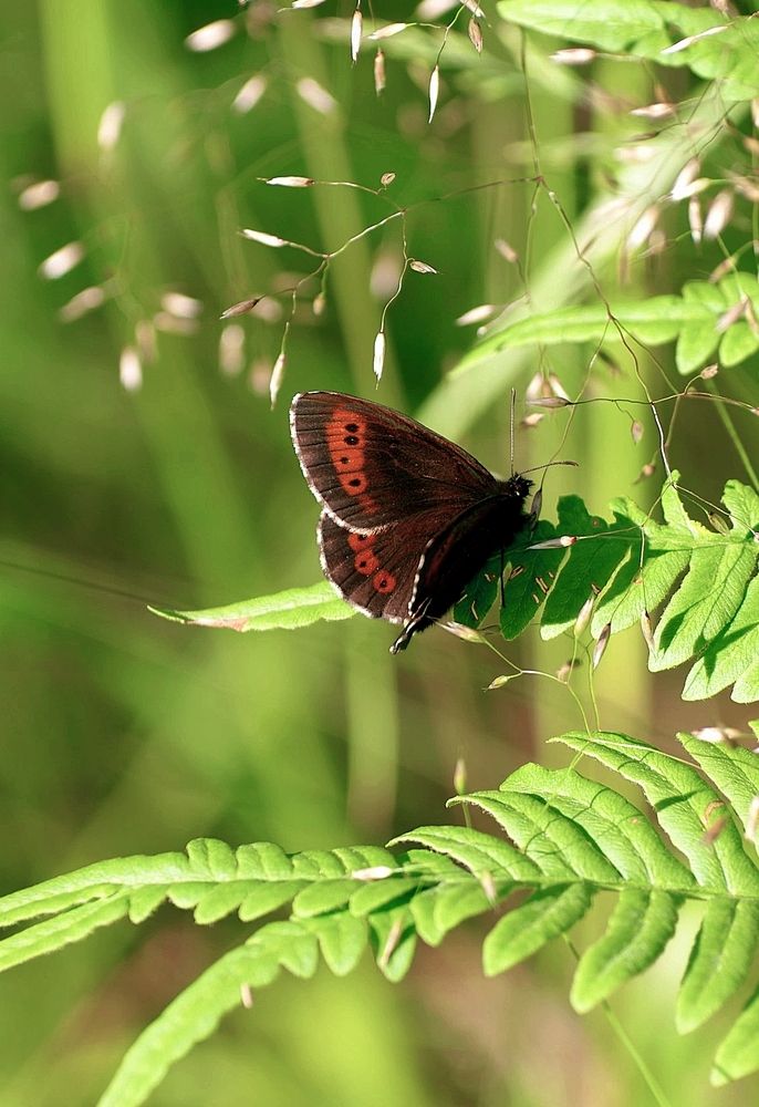 Photograph by Наталья Шумилова