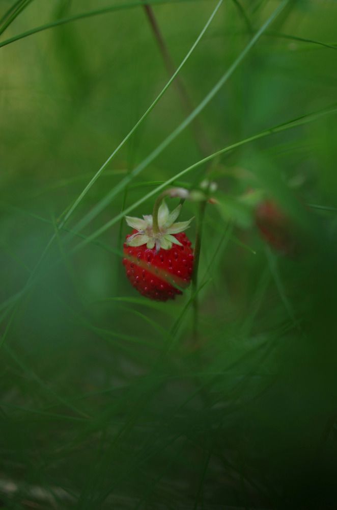 Photograph by Наталья Шумилова