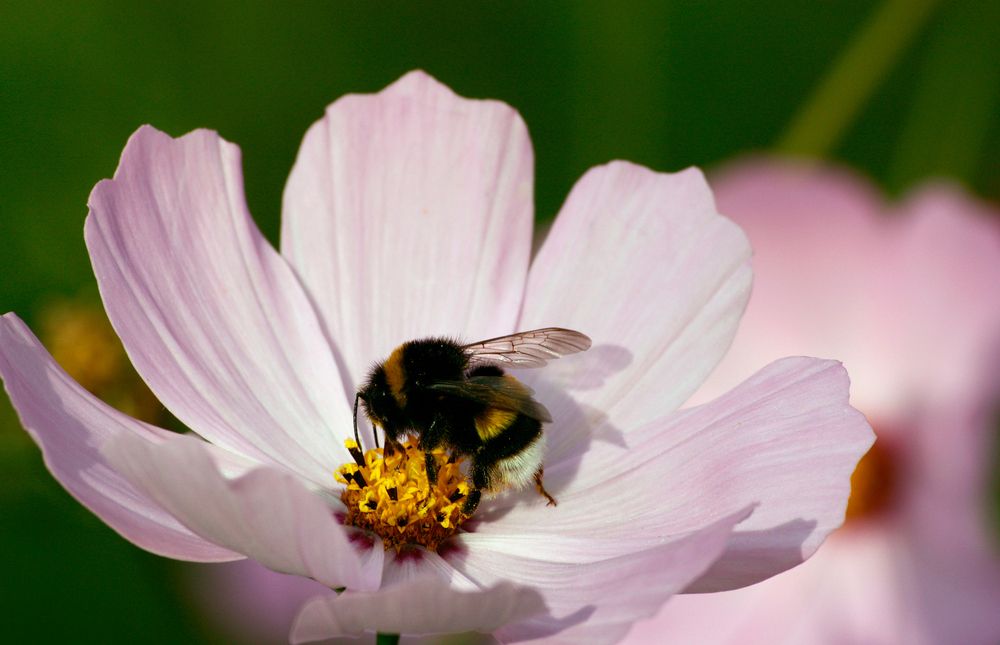 Photograph by Pavel Gukov