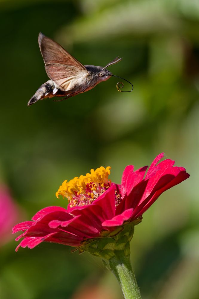 Photograph by Андрей Иванов