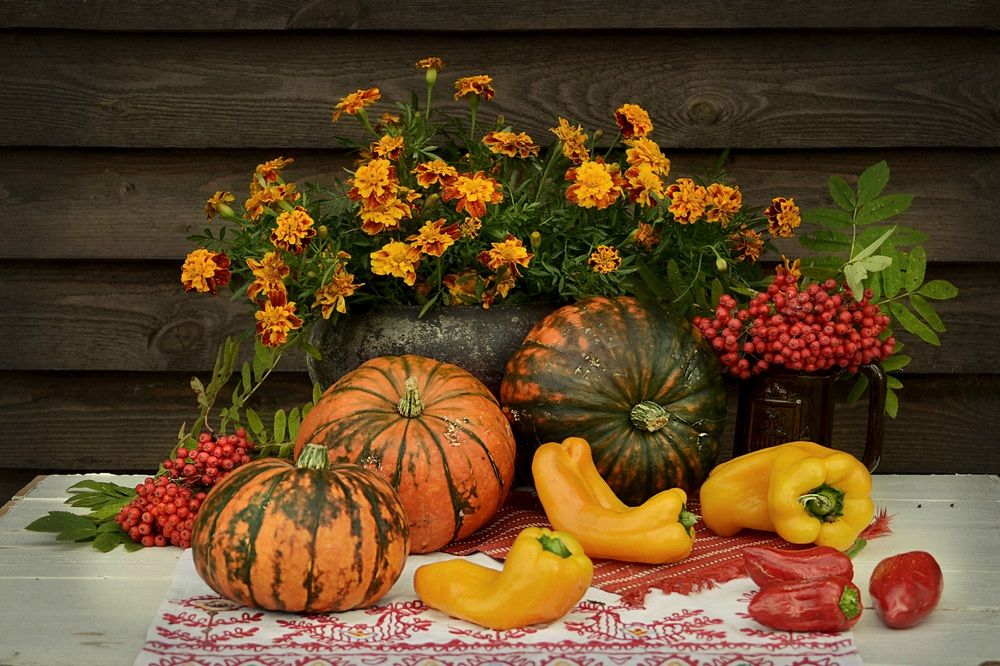 Photograph by Соколова Елена