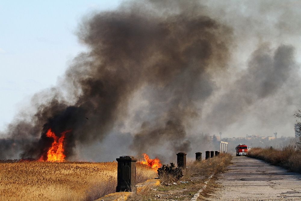 Фотография автора Александр Челмодеев