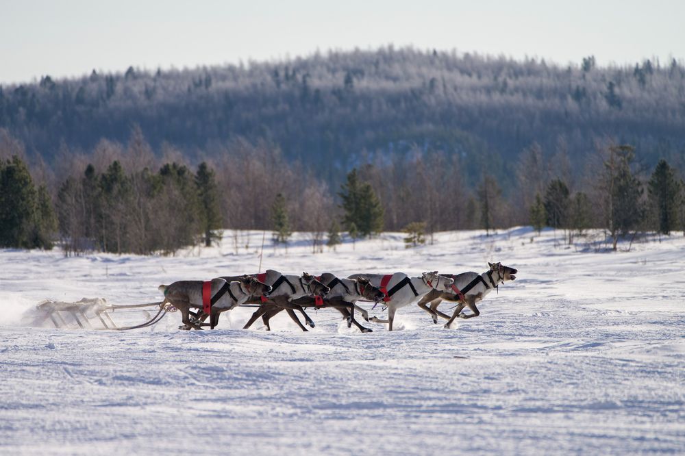 Фотография автора Viktoriya Kim