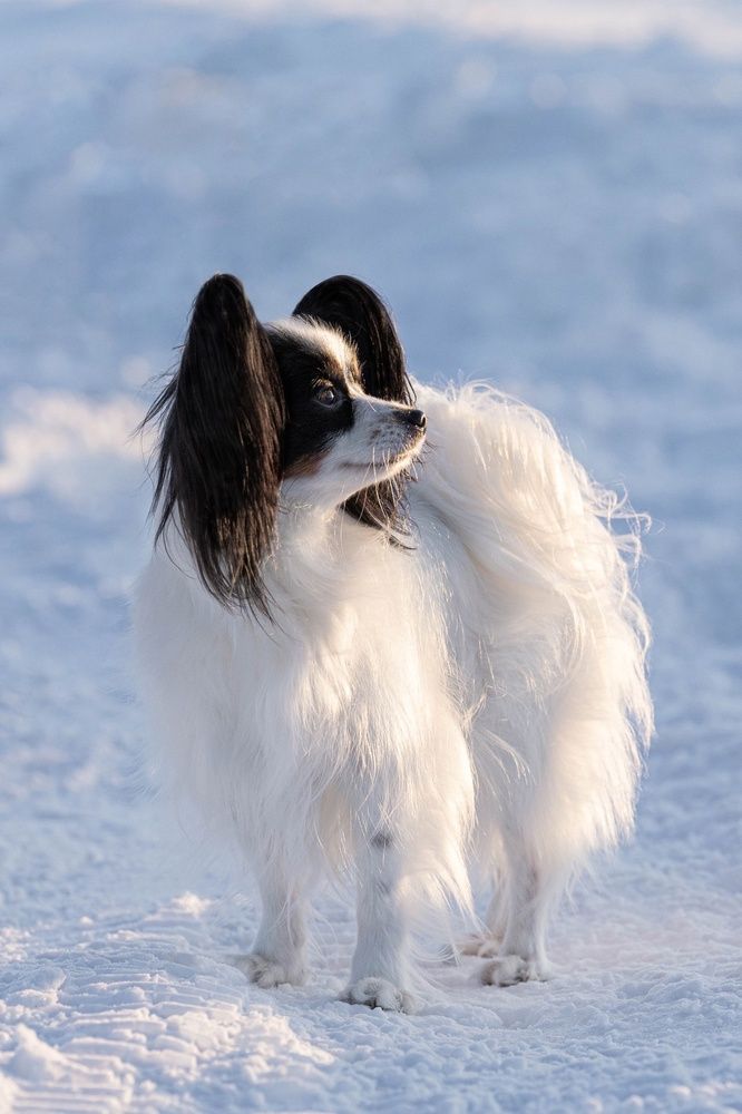 Photograph by Алина Дудорова