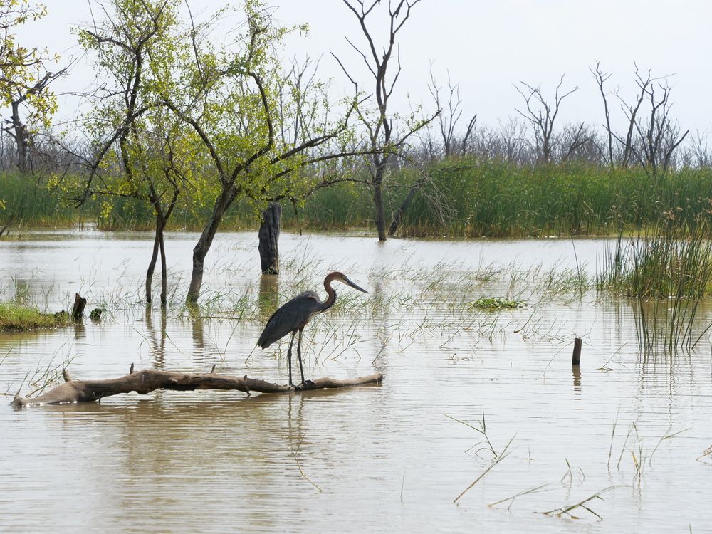 Photograph by Tsegaye Yeshiwas