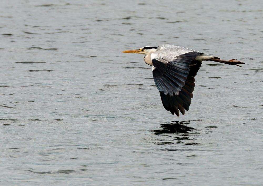 Фотография автора Иван Сыч