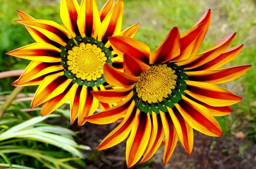 Photograph by Соколова Елена