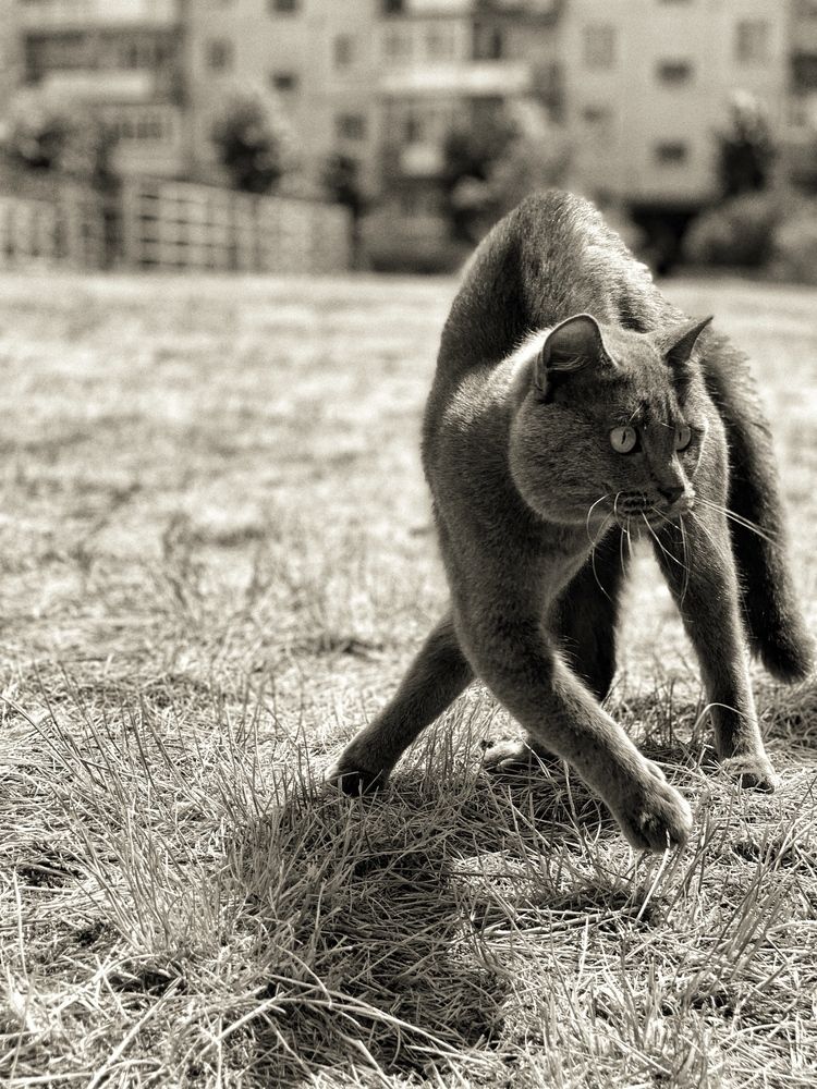 Photograph by константин грюканов