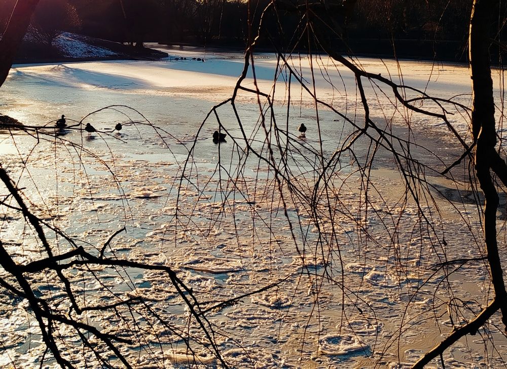 Photograph by Владимир Воложинский