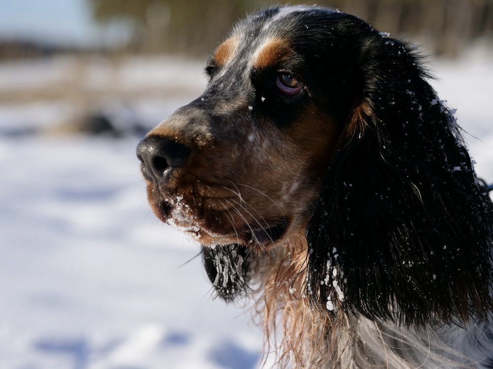 Photograph by Анна Целых