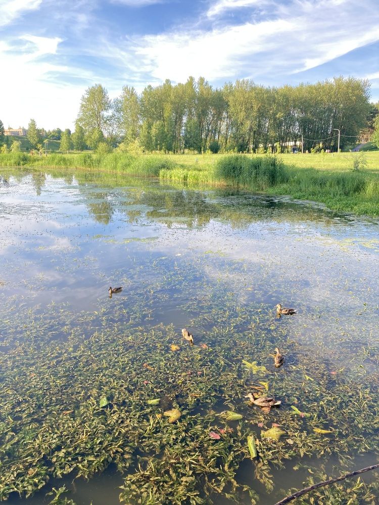 Photograph by Светлана Выдрова