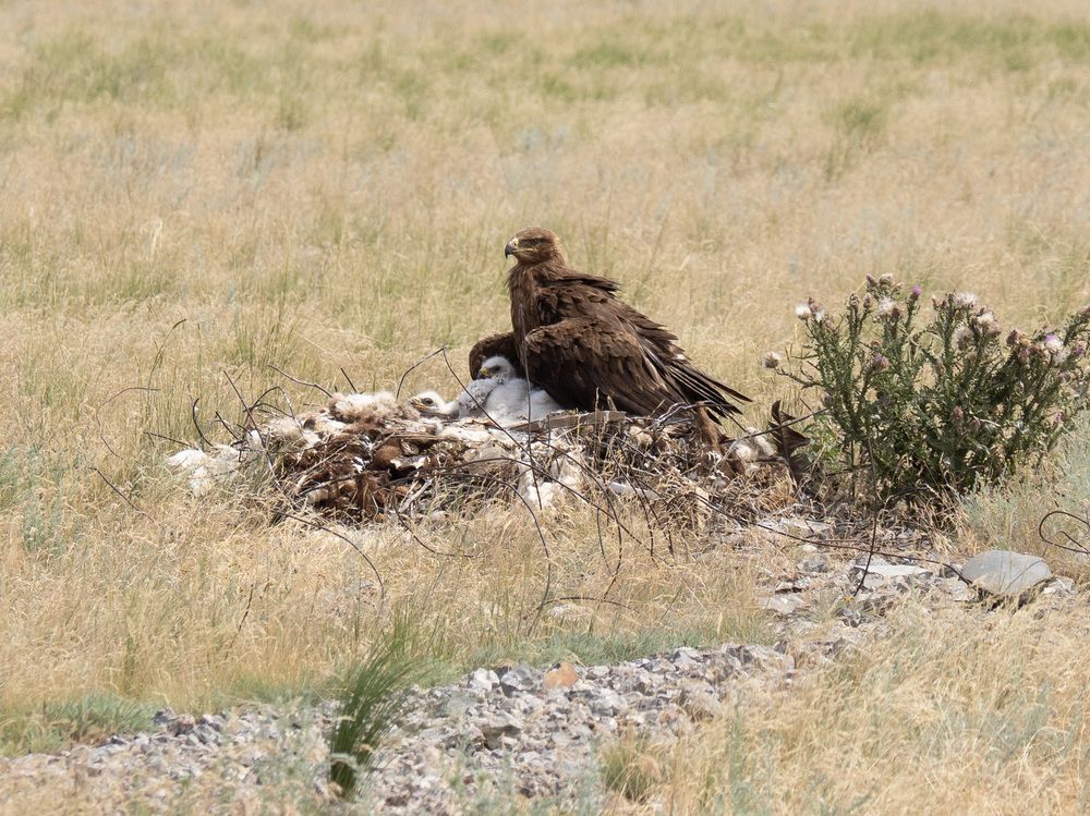 Photograph by Михаил