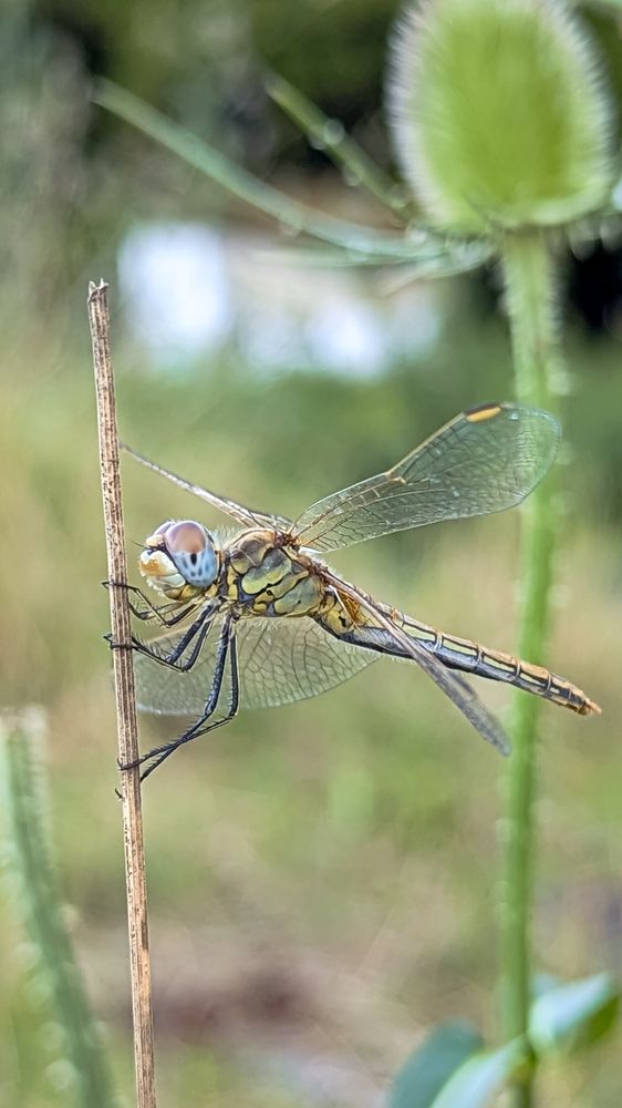 Photograph by Ирина Usanova