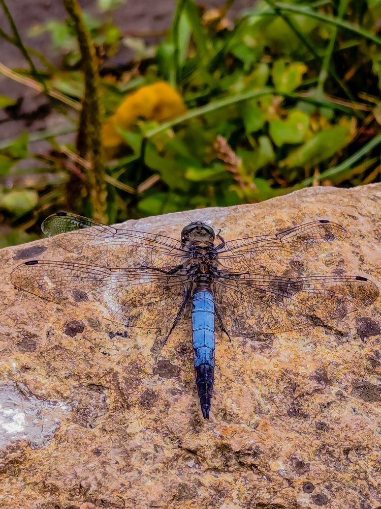 Photograph by Ирина Usanova