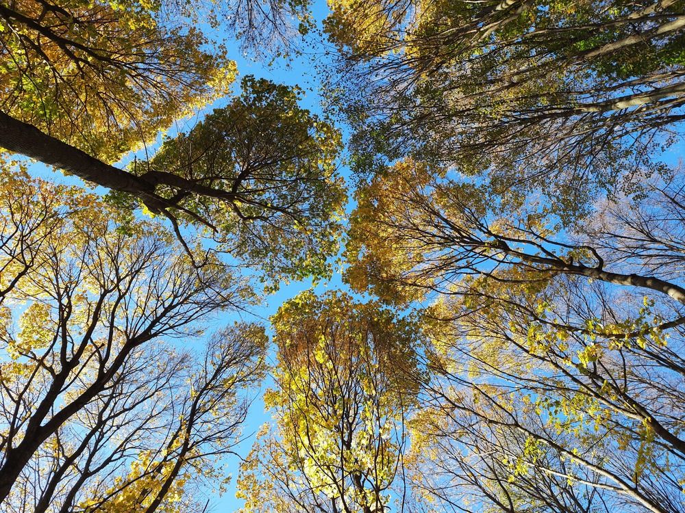 Photograph by Суетинов Евгений