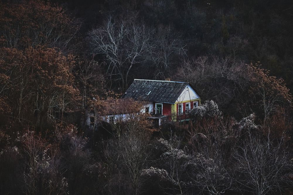 Фотография автора constantnine