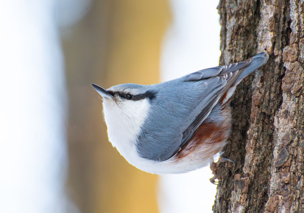 Photograph by Кристина Дегтярёва