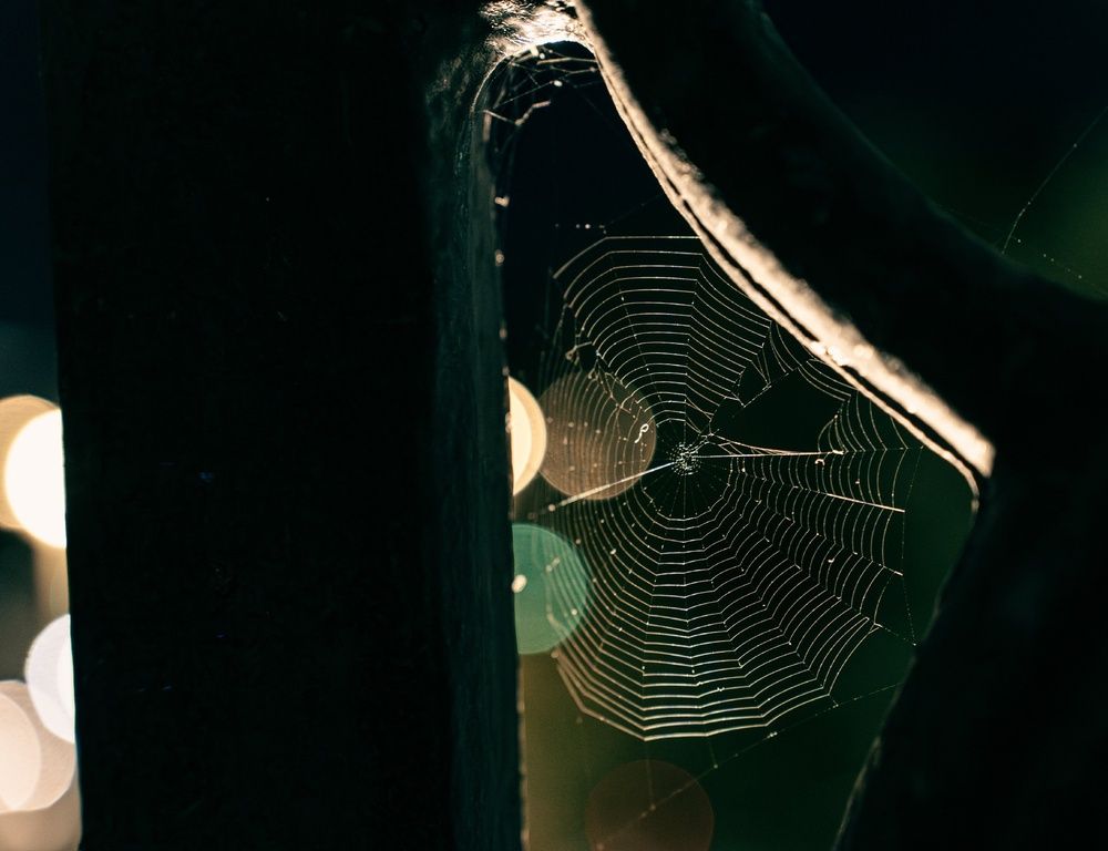 Photograph by Сергей Арямов