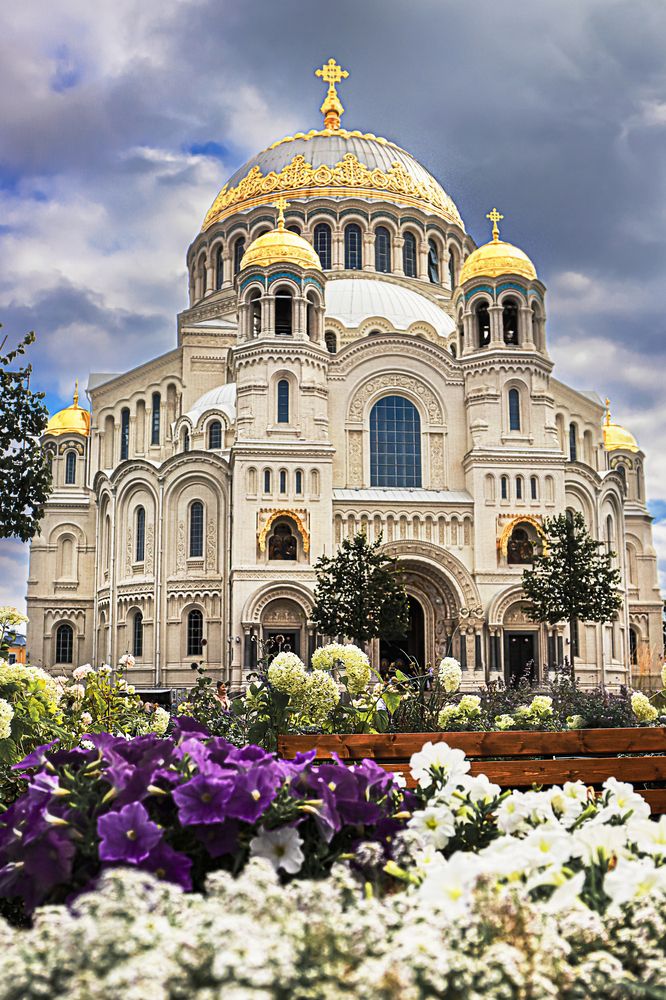 Фотография автора Елена Разина