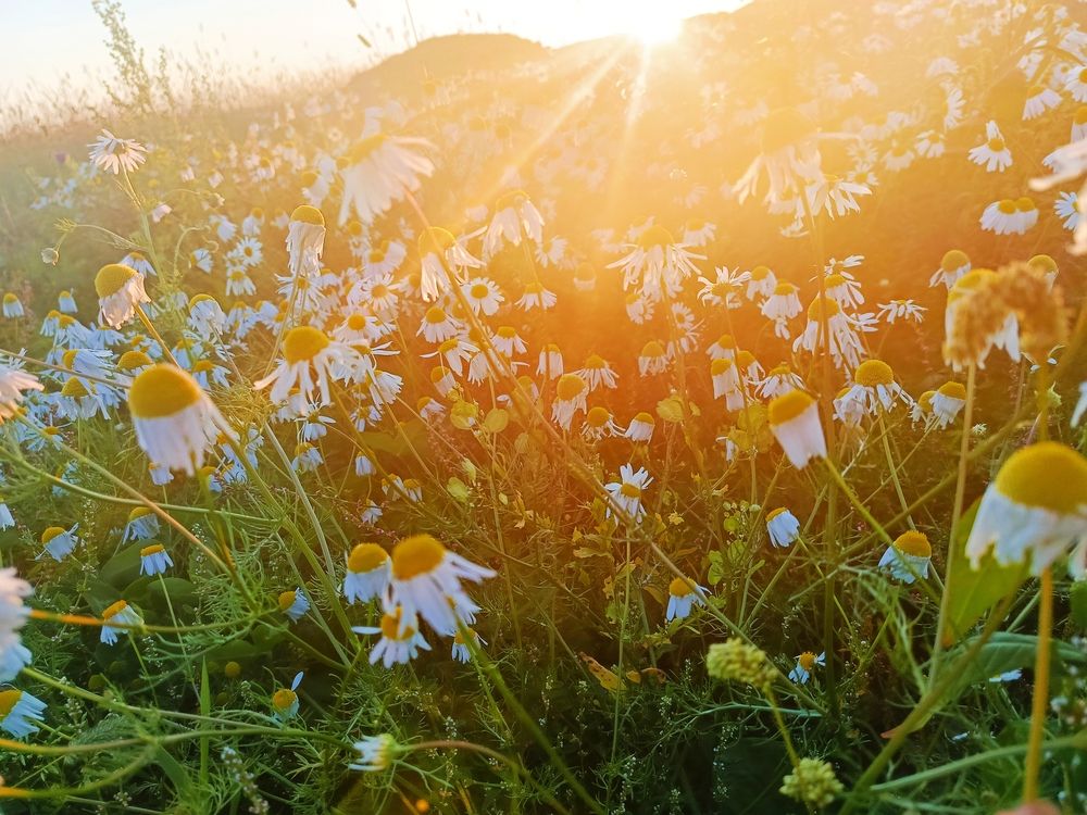 Photograph by Татьяна Бешенкина