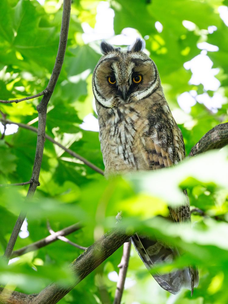 Photograph by Дмитрий Макинский