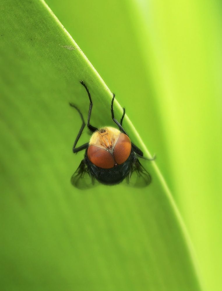 Photograph by Кристина Феминова